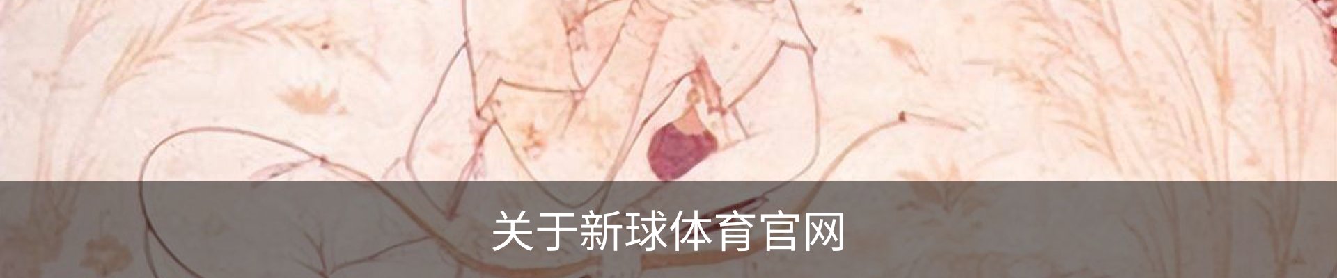 关于新球体育官网