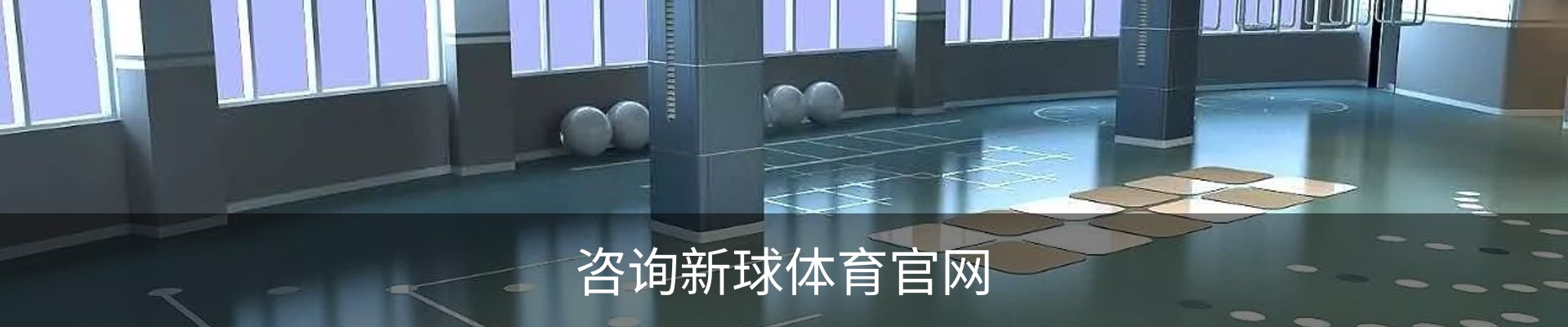 咨询新球体育官网