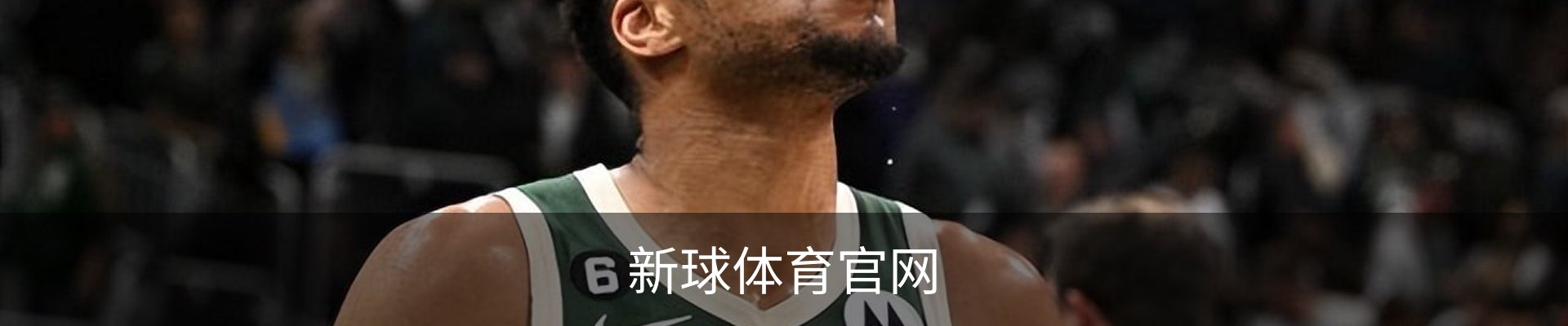 新球体育官网
