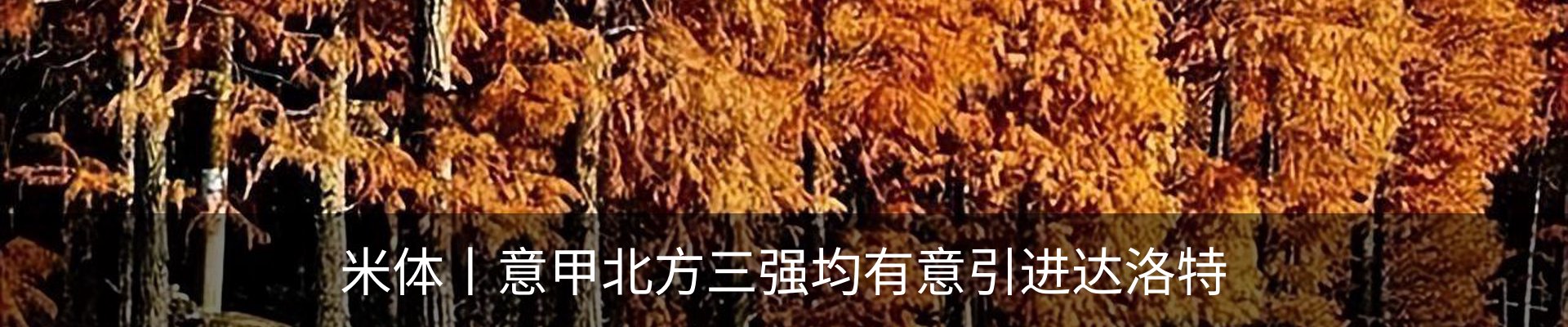 新闻中心